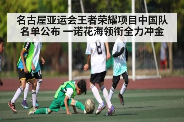 名古屋亚运会王者荣耀项目中国队名单公布 一诺花海领衔全力冲金 | kaiyun